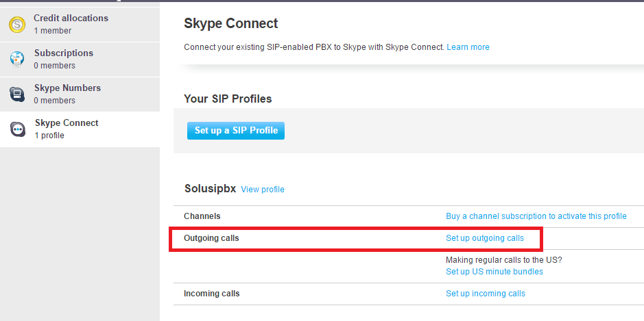 skype outgoing calls